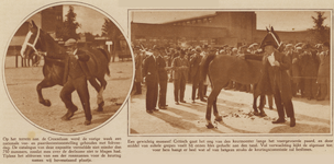 873726 Collage van 2 foto's betreffende de eendaagse Nationale Vee- en Paardententoonstelling op het veemarktterrein ...